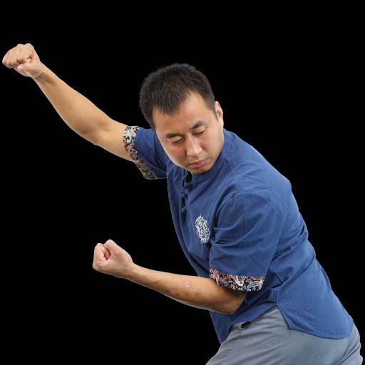 Qi Internal Power