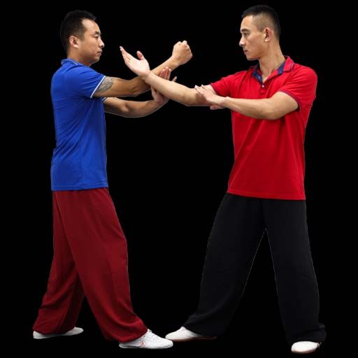Wing chun Partner Training Exercises