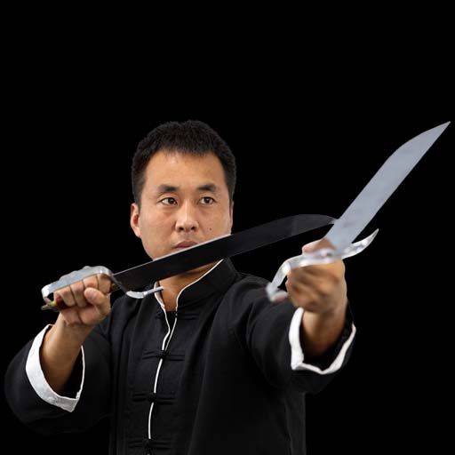 Wing Chun Knives Form