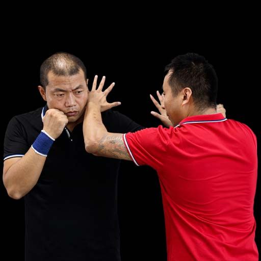 wing Chun Real World Applications