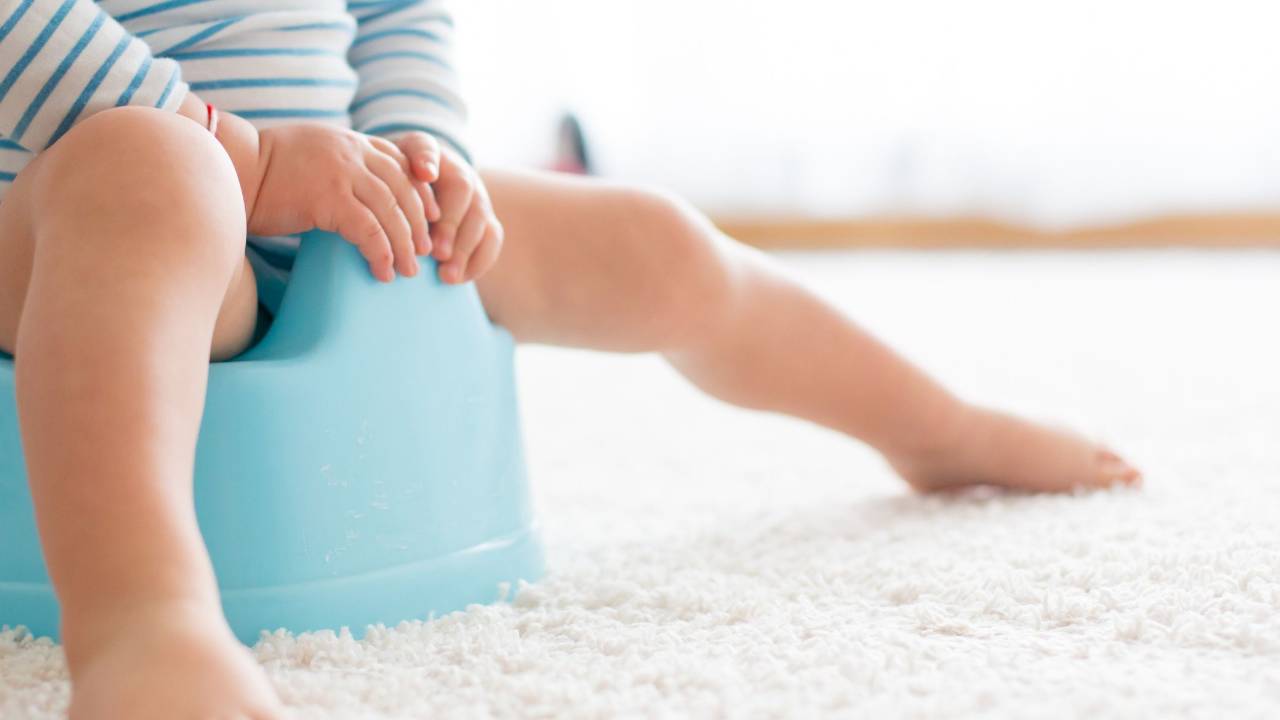 Cut The Crap How To Ditch Diapers Fast & For Good (VIP)