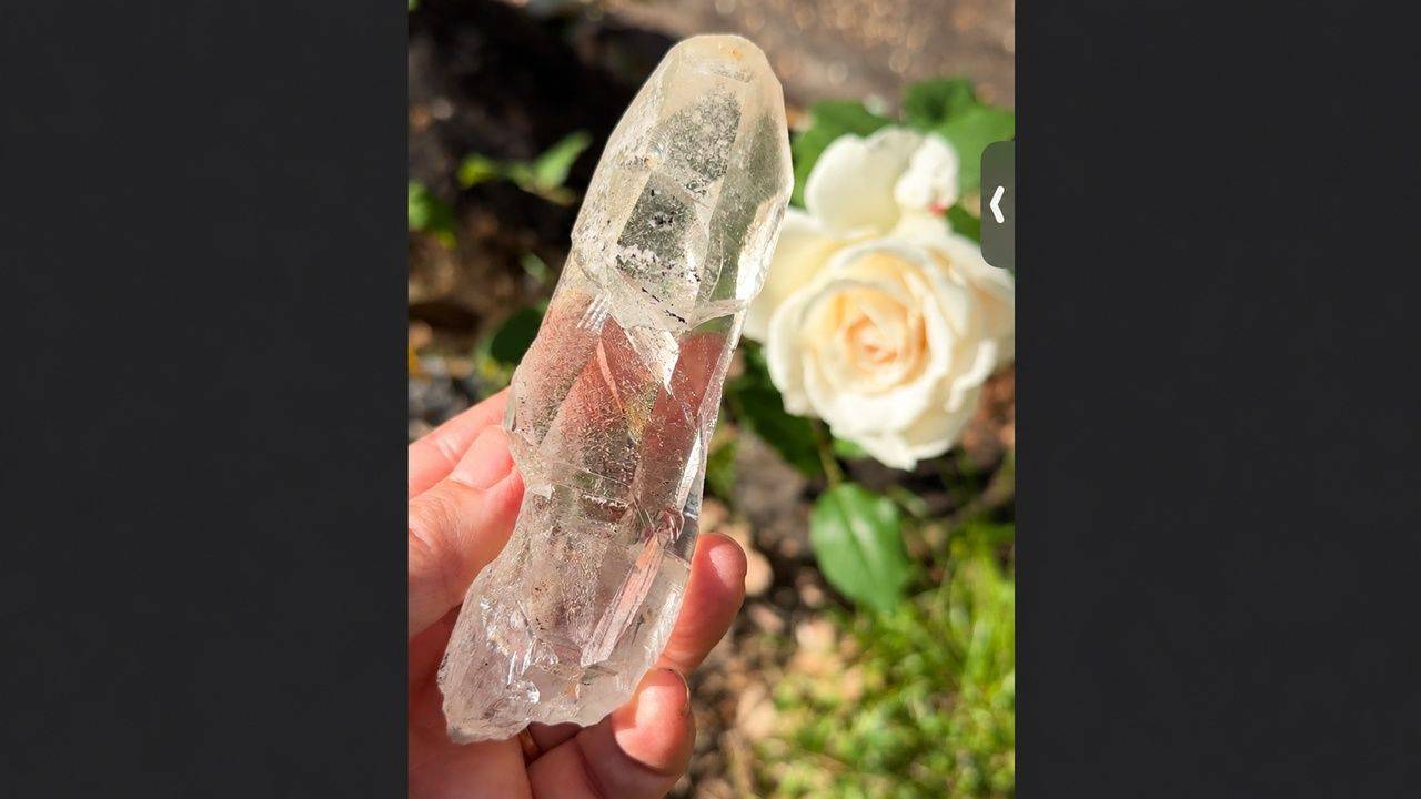 White Rose Lemurian Quartz Crystal 