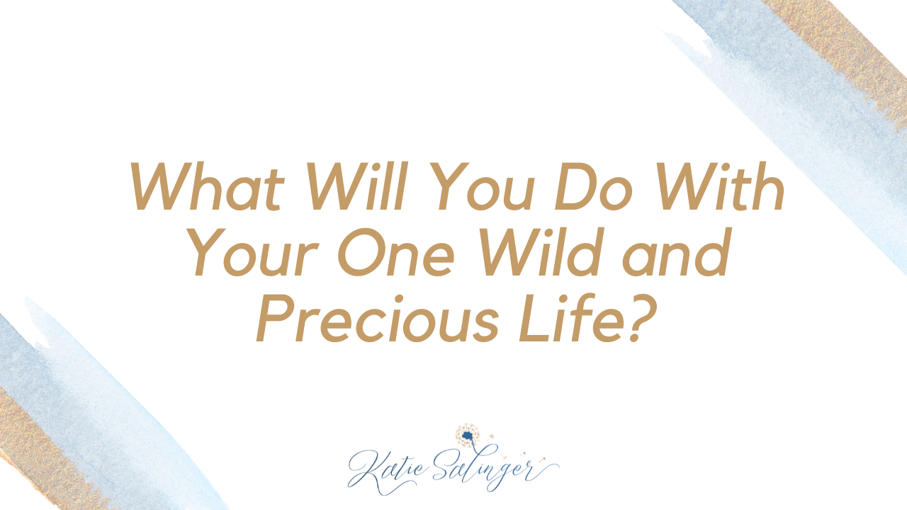 What Will You Do With Your One Wild and Precious Life?