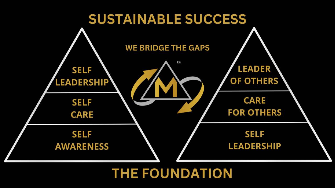 Leadership development programs