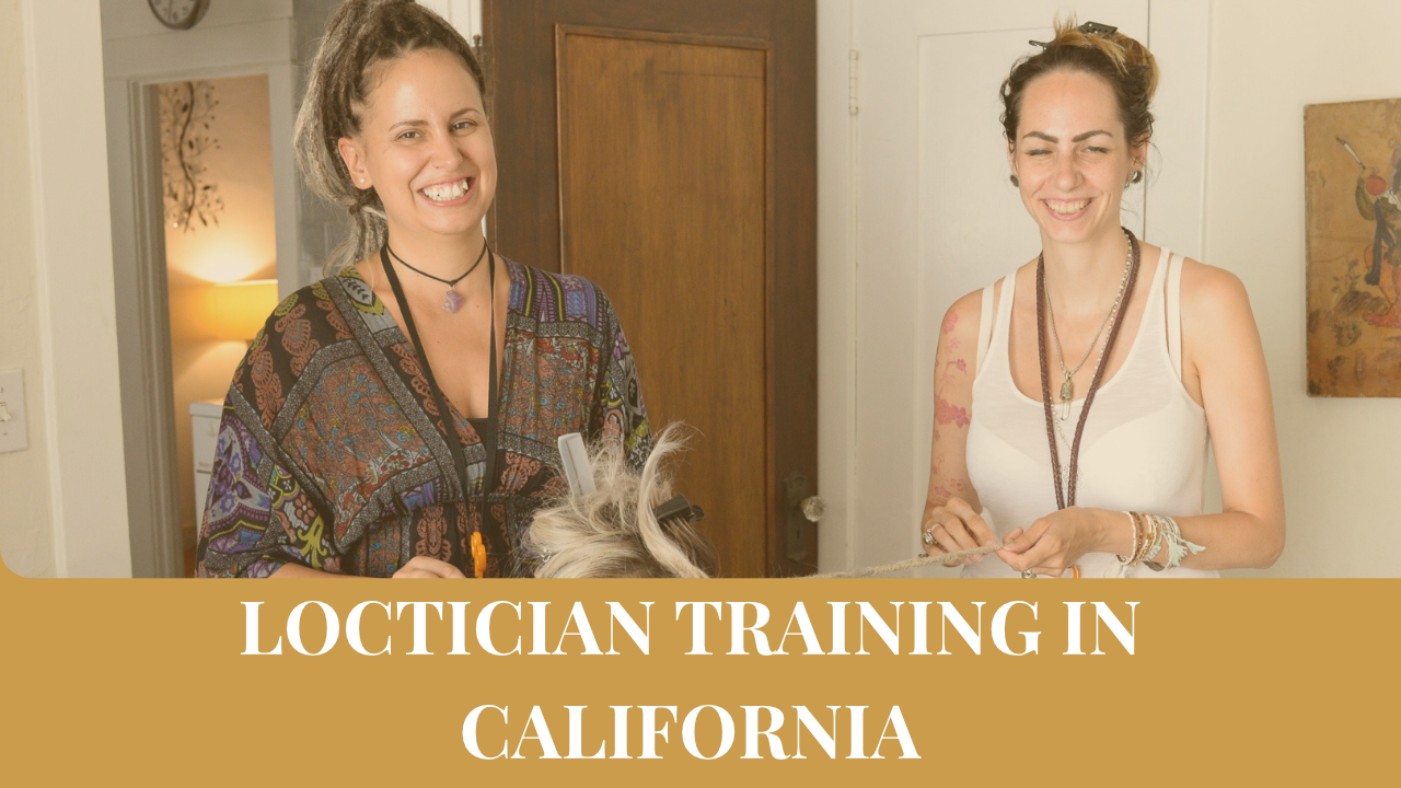 Loctician Training in California: Hands-On Dreadlock Training With the Seienstyle Process