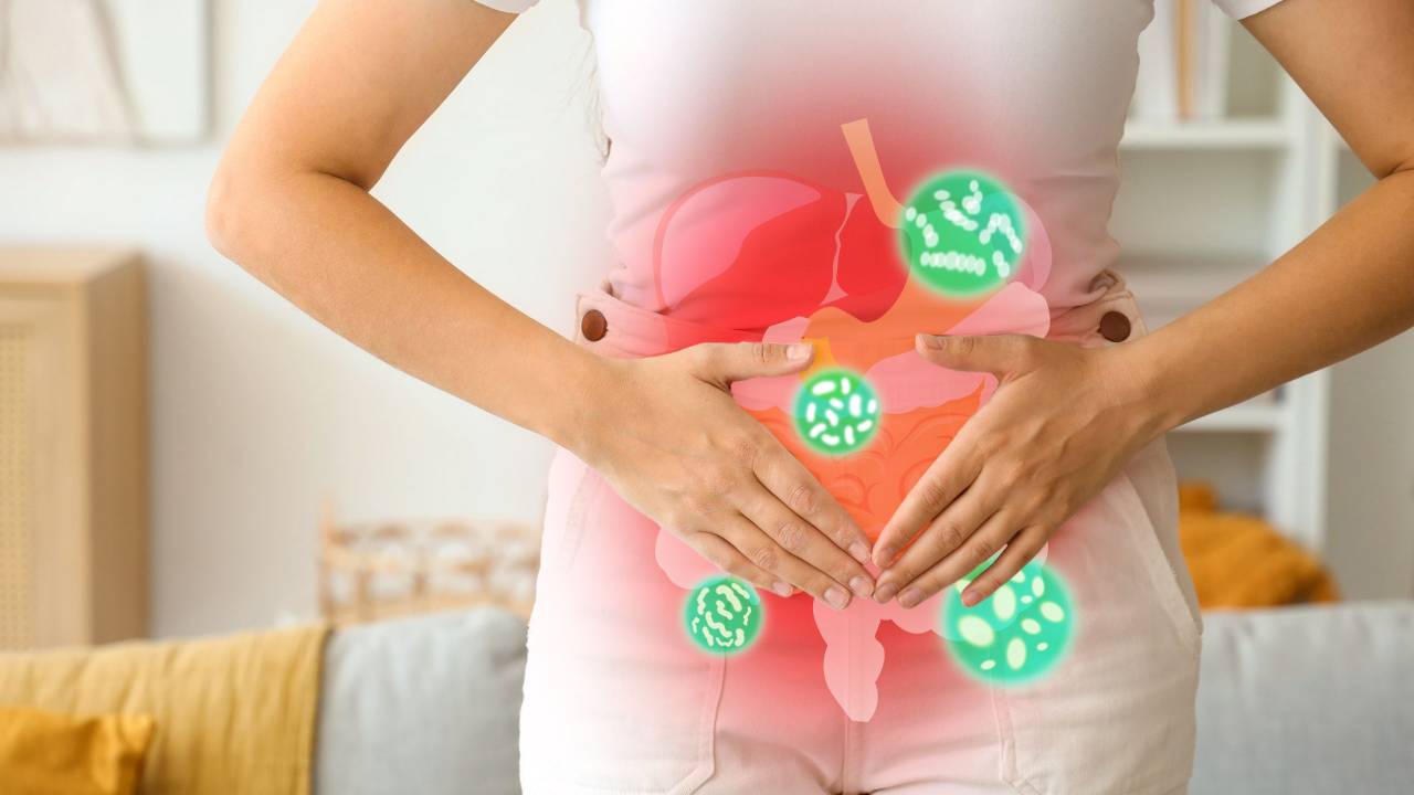 gut bacteri cholesterol