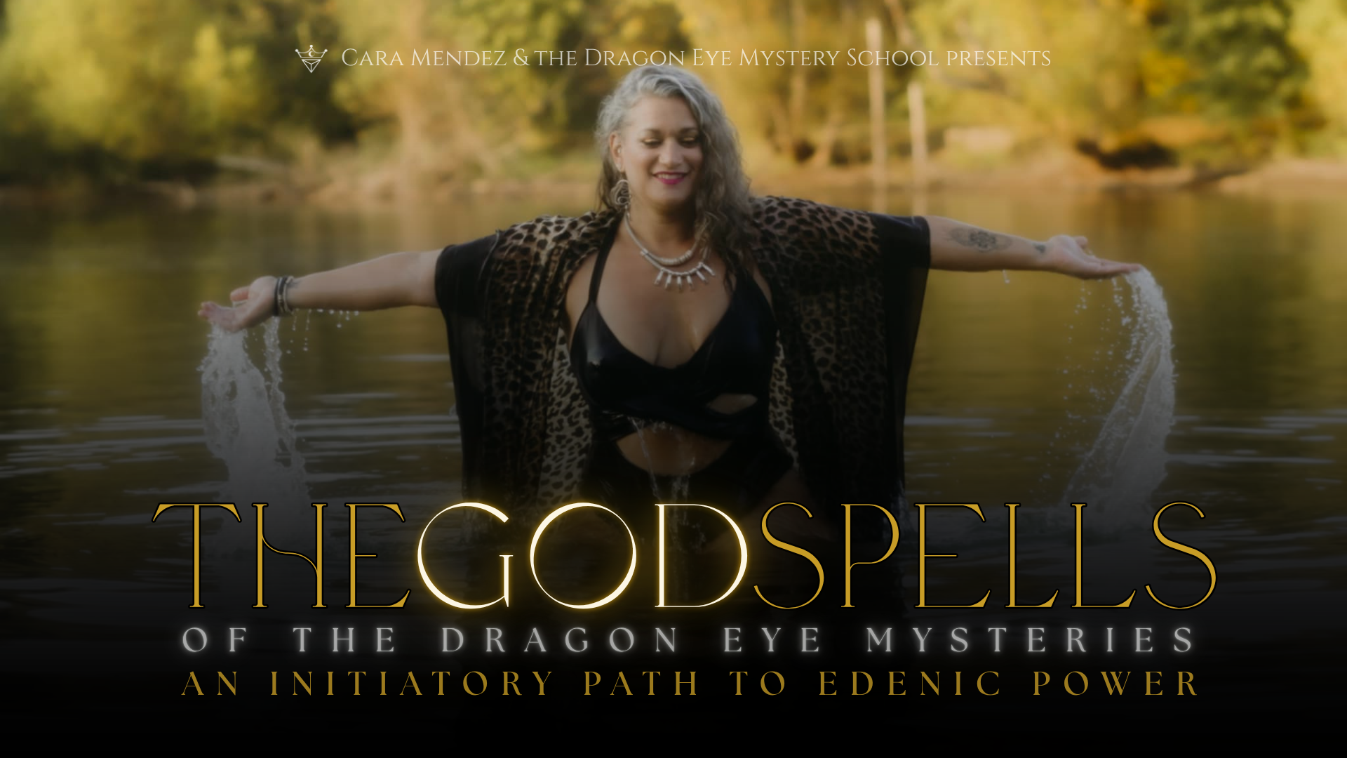 Video Poster Image