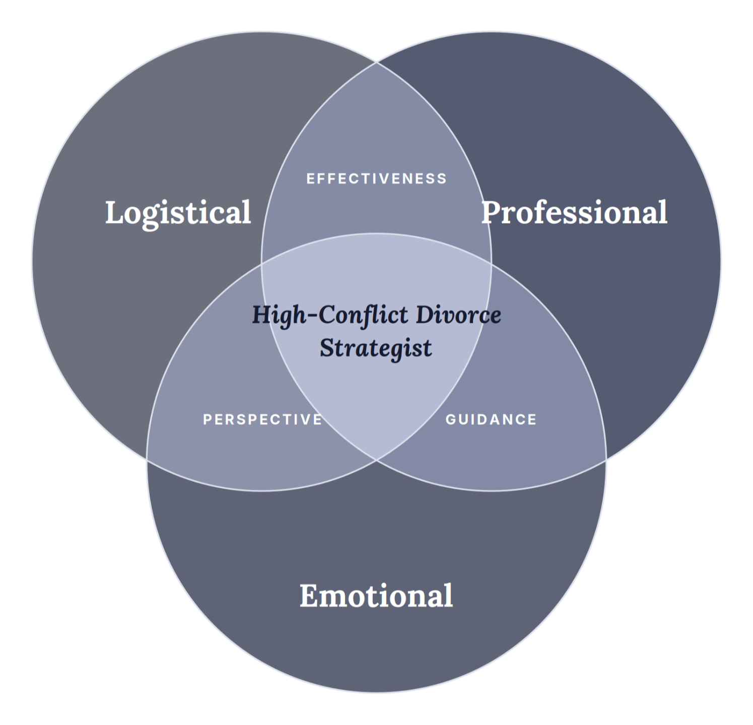 The High-Conflict Divorce Strategist sits at the intersection of logistical, emotional and professional support.