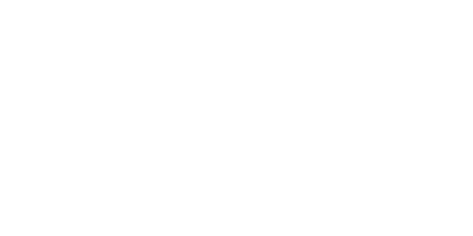 Voice Body Connection logo