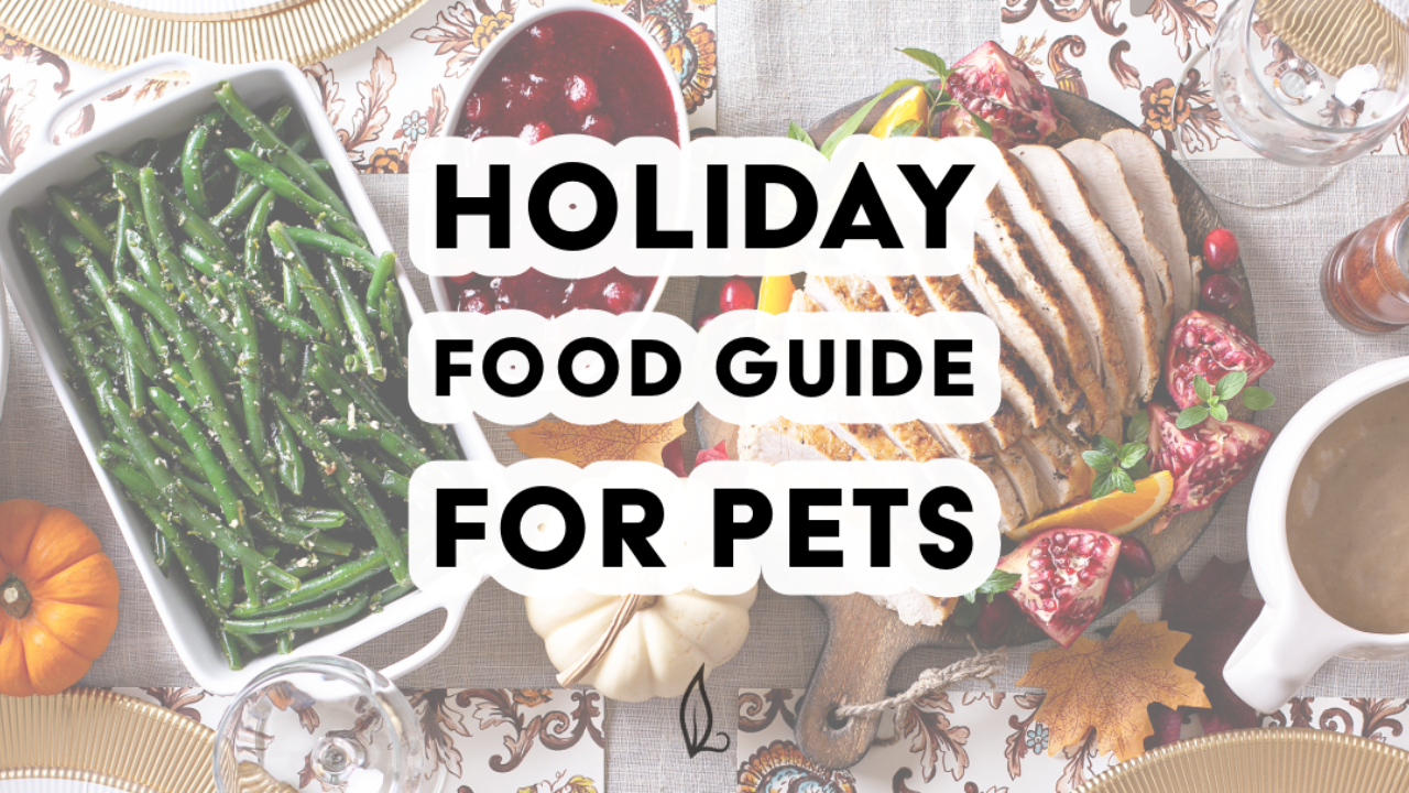 A festive table featuring green beans, cranberry sauce, turkey, and a small pumpkin sits beneath bold text: “Holiday Food Guide for Pets.”