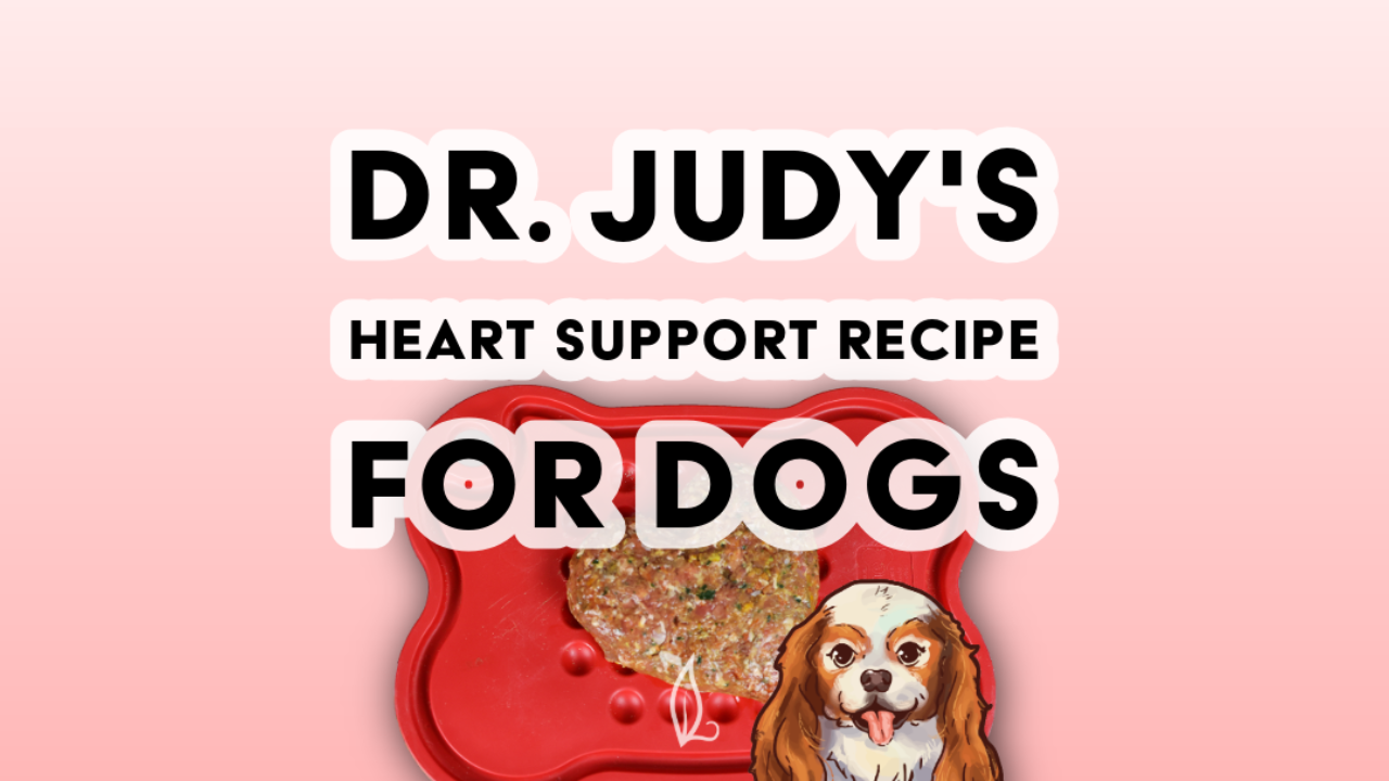 A heart-shaped dog food patty on a red mat with text: Dr. Judy's Heart Support Diet for Dogs, showing heart support dog food, and a cartoon dog illustration in the bottom right corner.