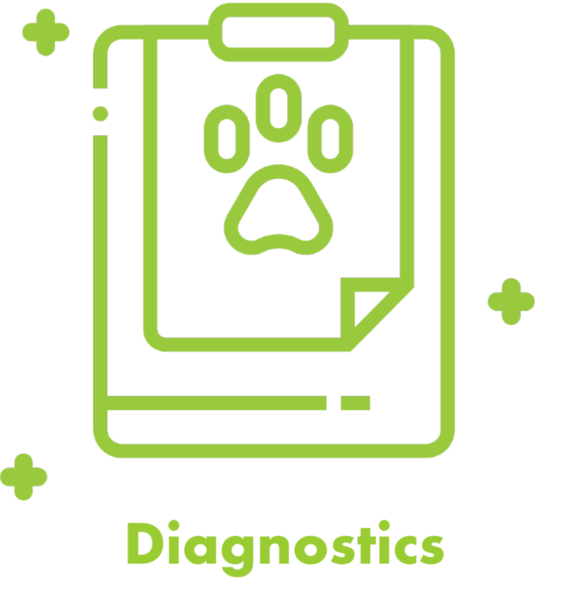 Diagnostics & Testing icon