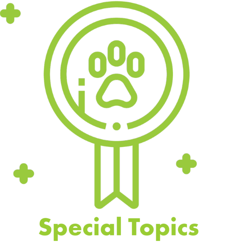 Special Topics icon