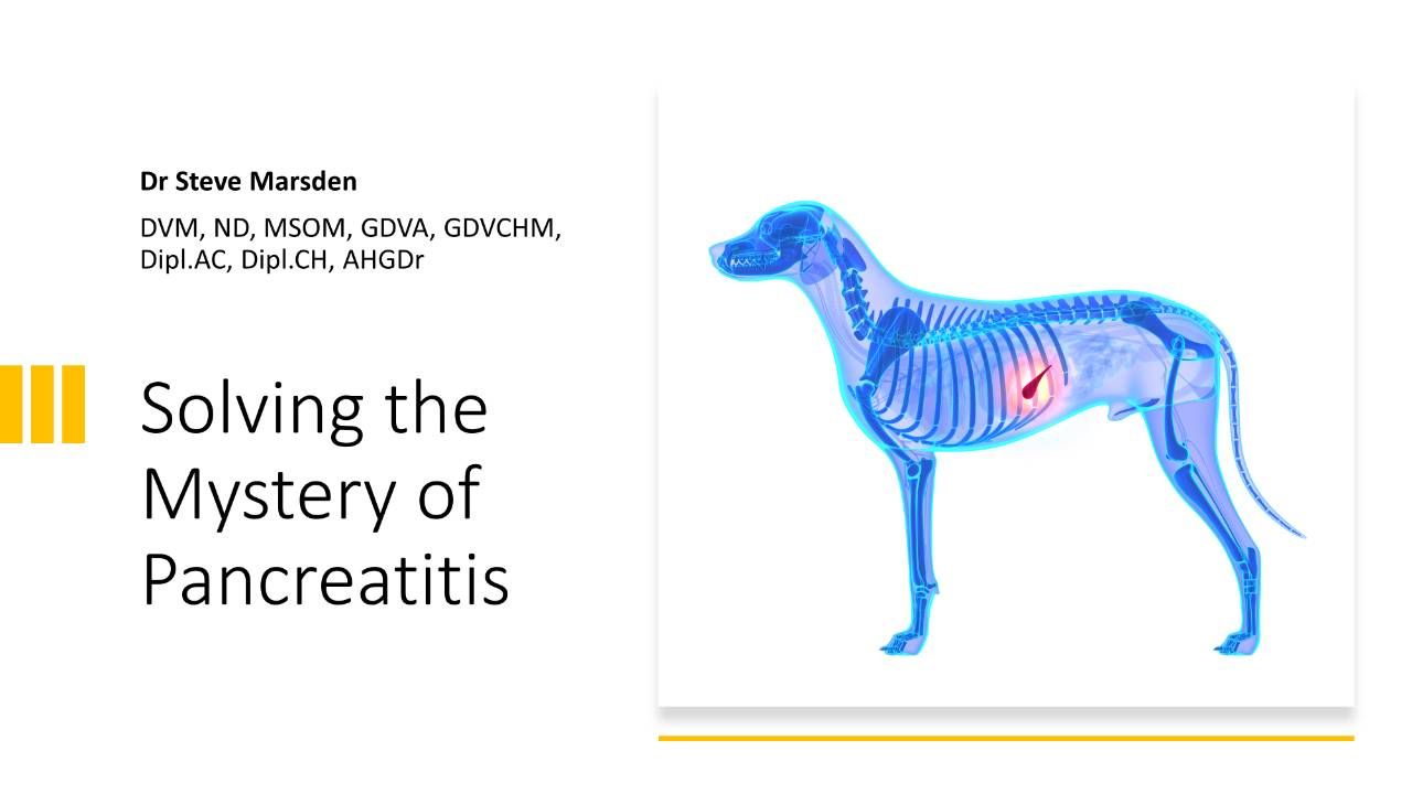 Slide graphic titled "Solving the Mystery of Pancreatitis" by Dr. Steve Marsden, featuring a translucent blue anatomical diagram of a dog.