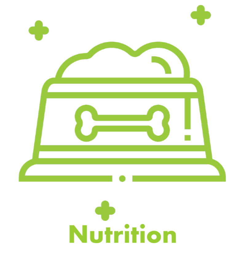 Nutrition icon