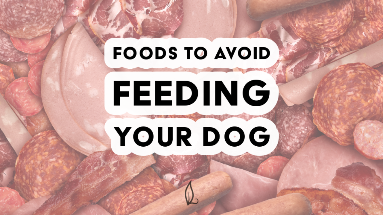 A variety of processed deli and lunch meats behind bold text that reads "Foods to avoid feeding your dog"