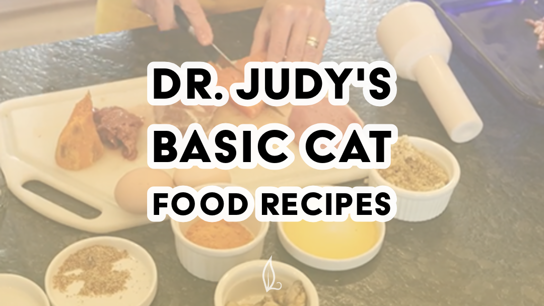 A person in a yellow shirt prepares ingredients with bowls of spices and oil. Text: Dr. Judy's Basic Cat Food Recipes—find easy homemade cat food tips or download the free PDF.
