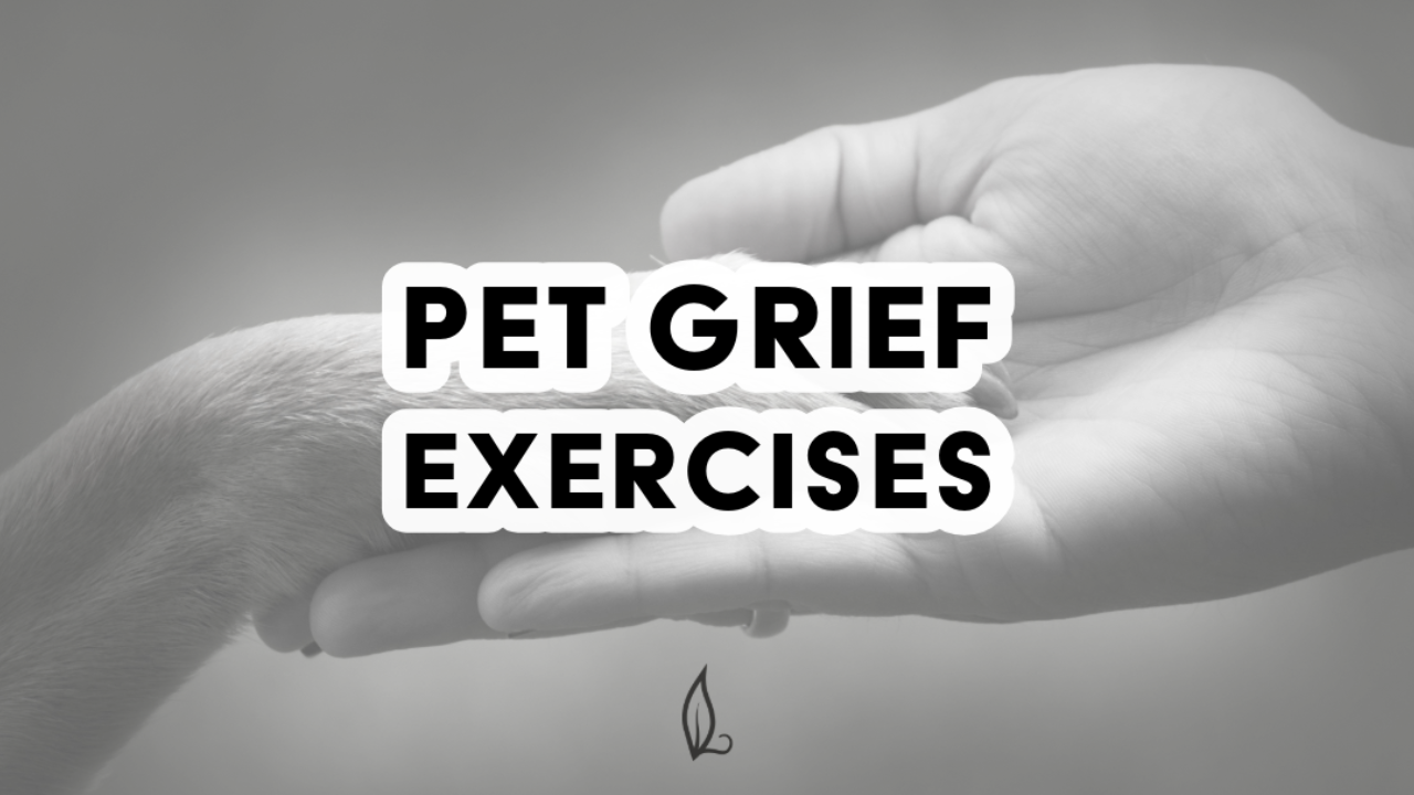 A black and white close-up of a human hand gently holding a dog’s paw, with "Pet Grief Exercises" in bold white text. This digital download offers comfort and support for anyone experiencing pet loss or anticipatory grief.
