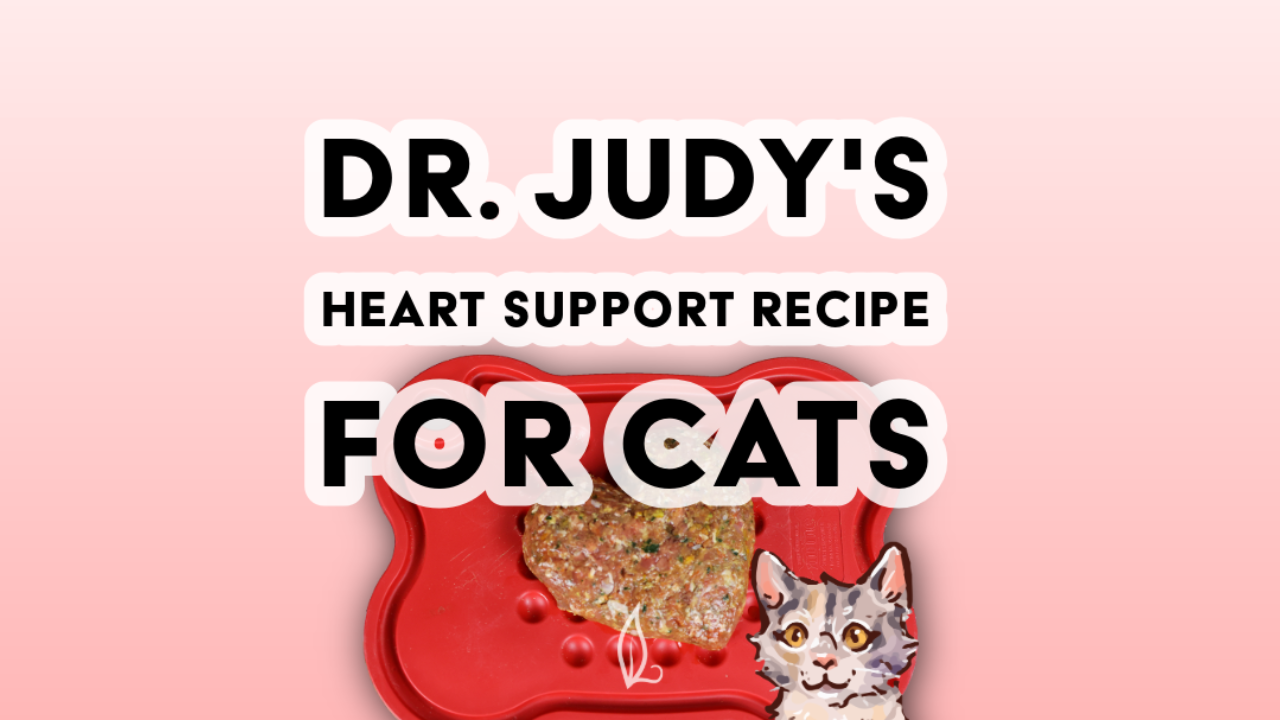 A heart-shaped cat food patty on a red mat with text: Dr. Judy's Heart Support Diet for Cats, showing heart support cat food, and a cartoon cat illustration in the bottom right corner.