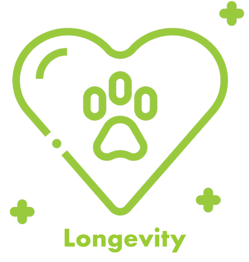 Longevity icon