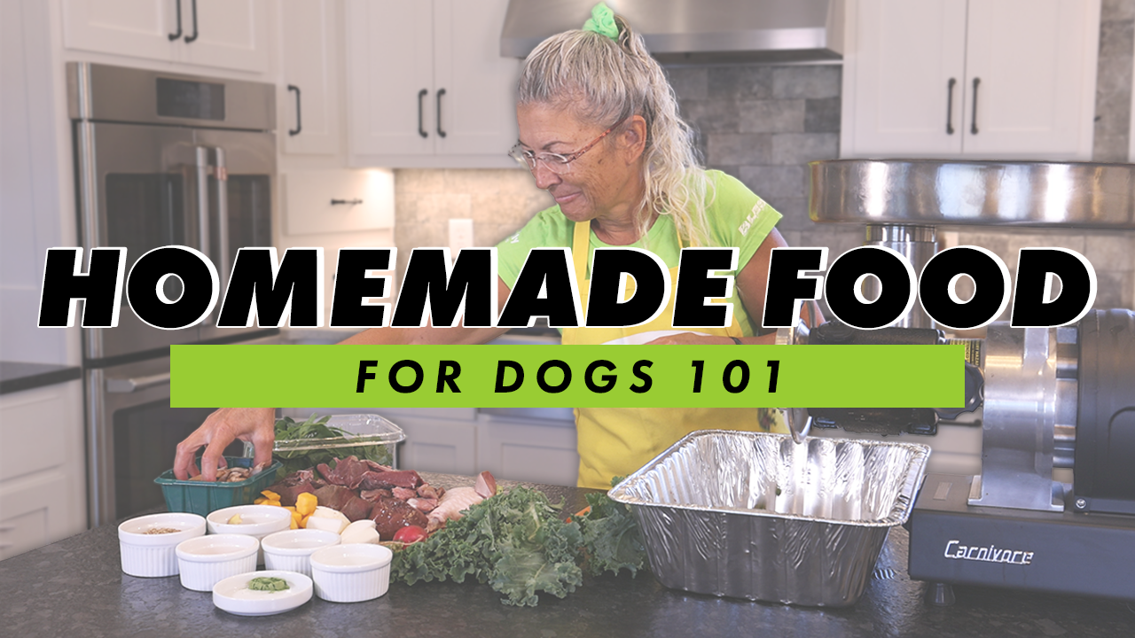 Course graphic reading "Homemade Food for Dogs 101" by Dr. Judy Morgan, featuring an illustration of a woman holding a dog.