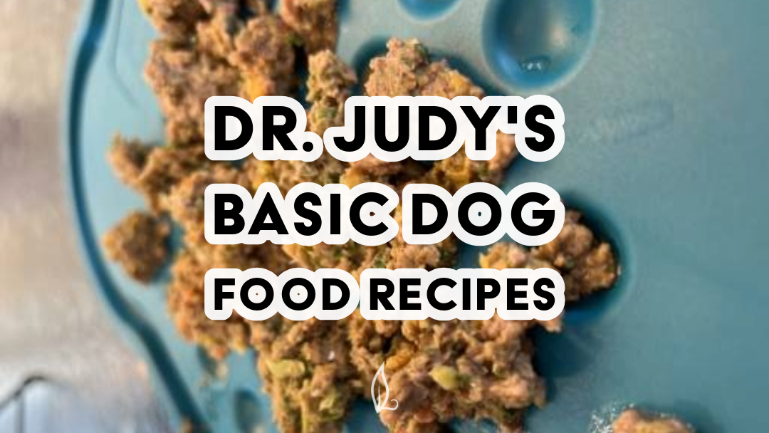 Close-up of balanced dog food on a blue platter, with "Dr. Judy's Basic Dog Food Recipes" in bold white letters—get our free PDF for easy homemade dog food recipes.