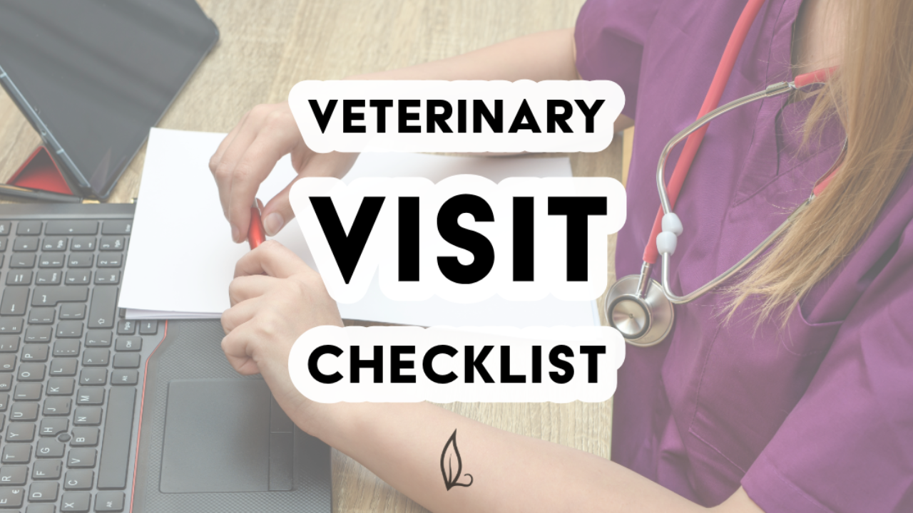 A person in purple scrubs with a stethoscope writes on paper near a laptop. Text over image reads: Veterinary Visit Checklist—includes pet handling instructions and helpful tips for curbside veterinary appointments.