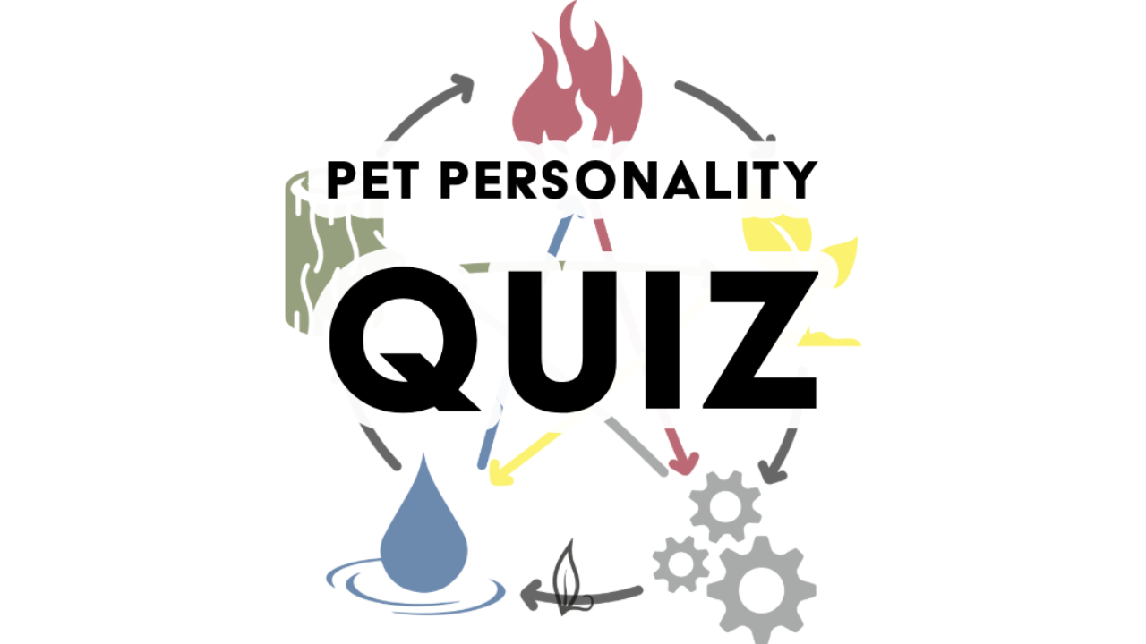 Diagram for Pet Personality Quiz illustrating the 5 elements—wood, fire, earth, metal, and water—in a cyclical pattern with arrows and a central star, inspired by Traditional Chinese Veterinary Medicine. Text placed on top of the diagram says "Pet Personality Quiz" in bold letters.