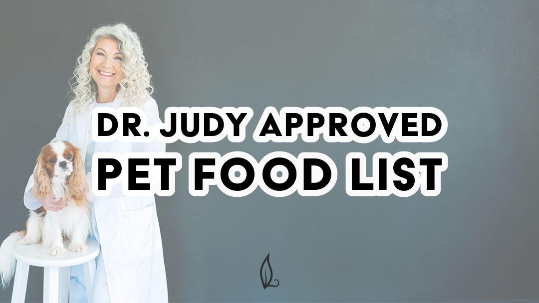 Dr. Judy Morgan, wearing a doctor's white coat, smiling, hugging a white and brown King Charles Cavalier Spaniel that is sitting on a white stool. Bold text overlays the image reading "Dr. Judy Approved Pet Food List"