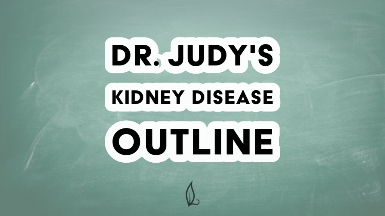 a green chalk board background with text that reads "Dr. Judy's Kidney Disease Outline" in bold letters