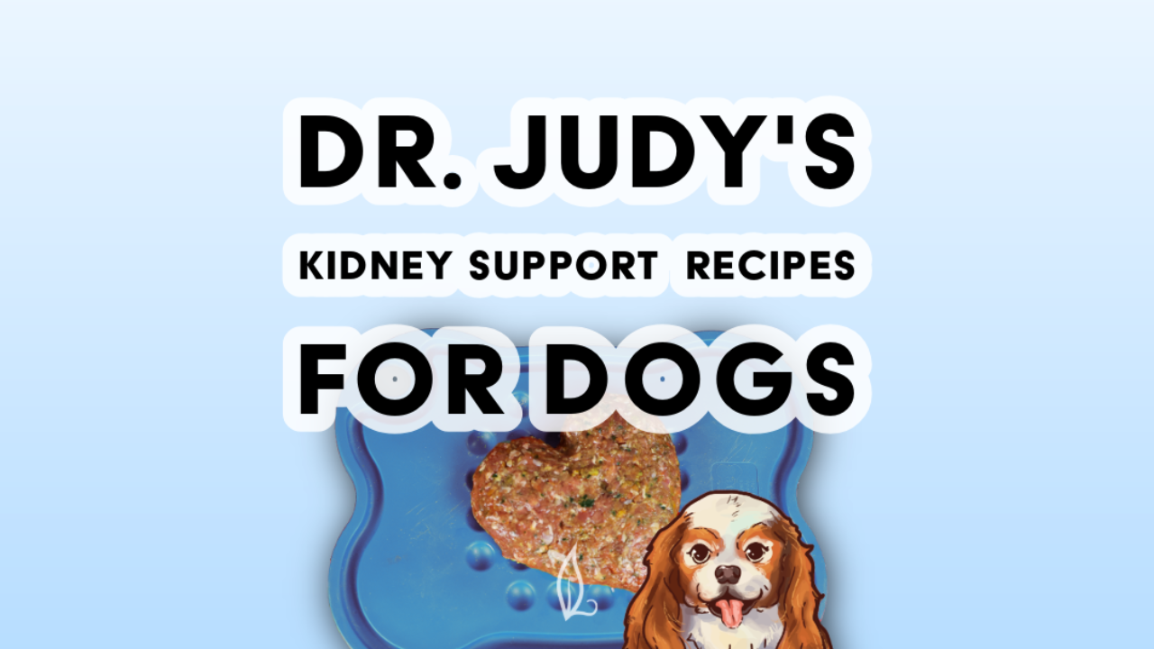 A blue mat shows a heart-shaped portion of homemade dog food and a cartoon dog. Text reads, “Kidney Support Diet for Dogs”—get a free PDF with recipes to help support kidney function in dogs—on a light blue background.