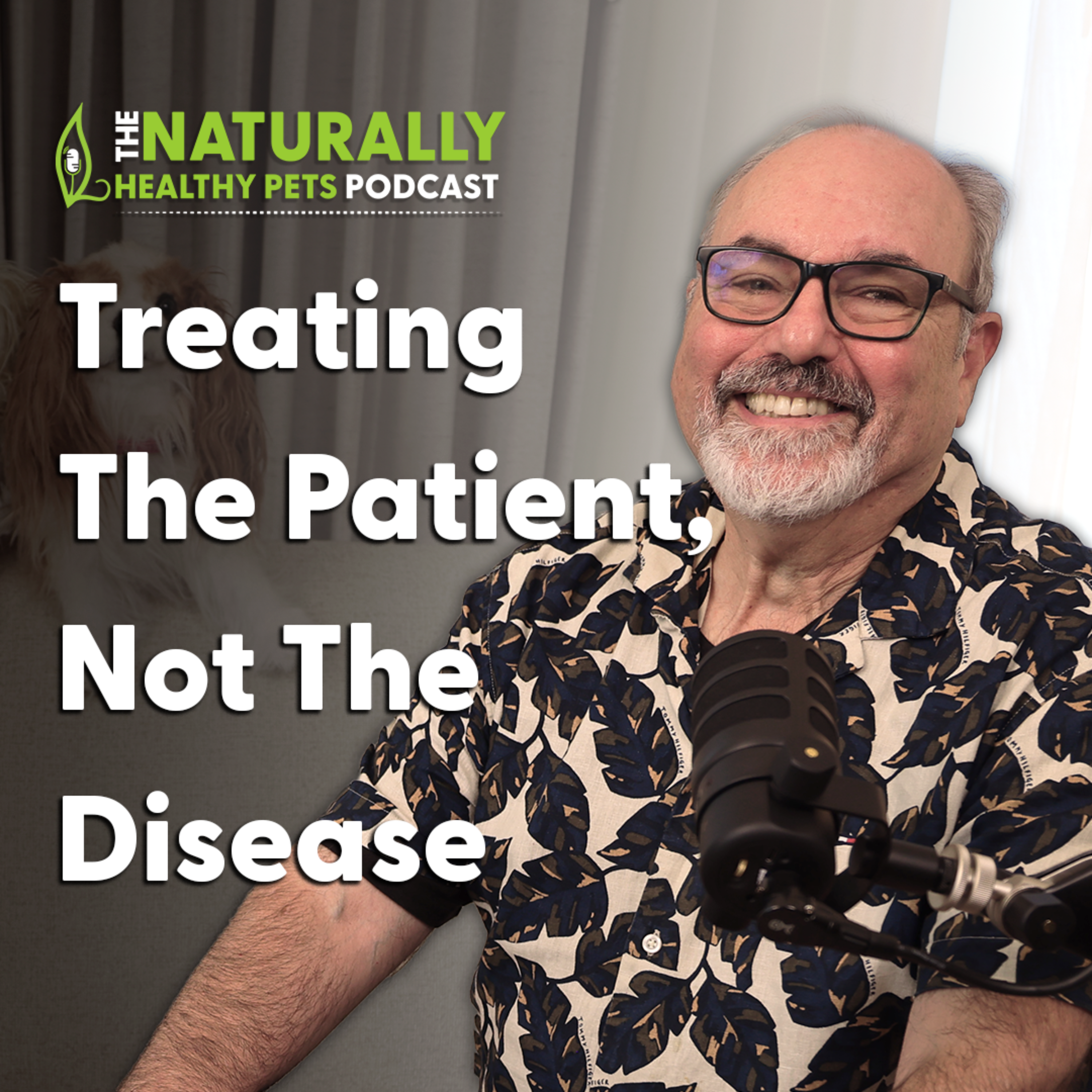 EP 86: Great Herbal Medicine Means Treating the Patient, not the Disease with Dr. David Winston episode artwork