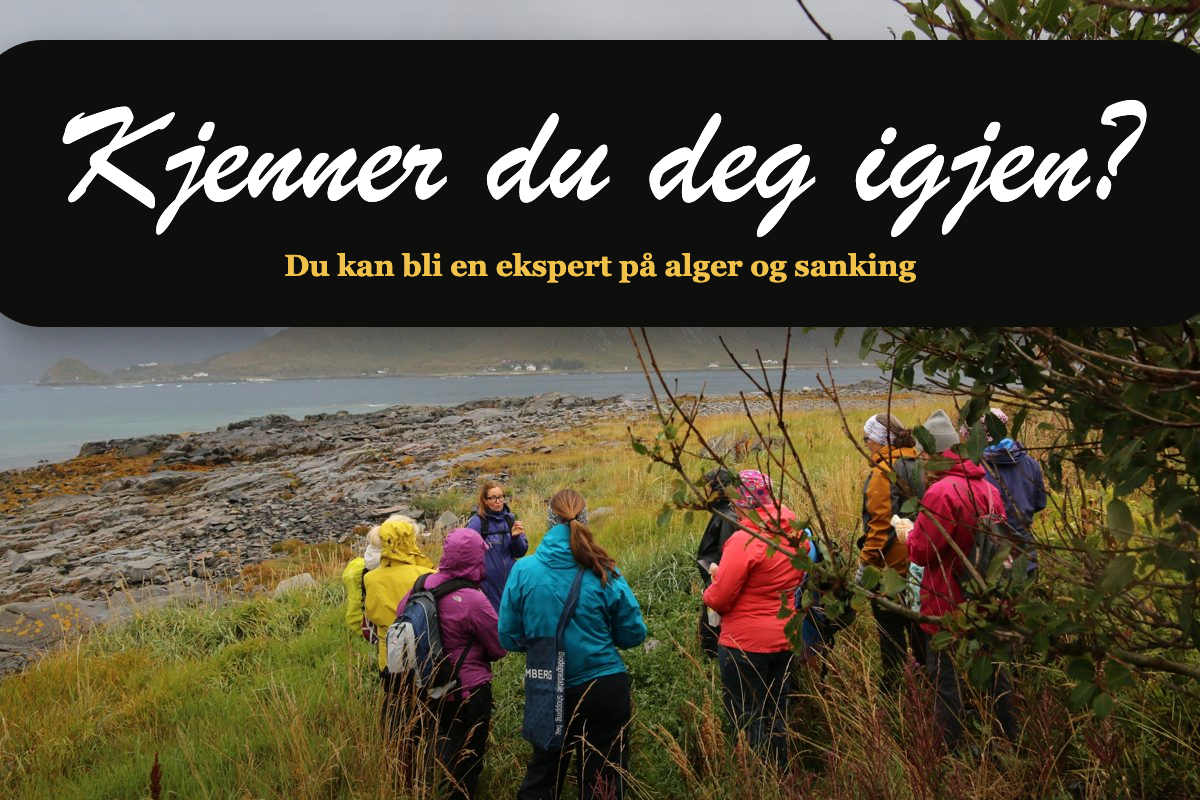 Kjenner du deg igjen?