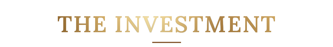 The investment