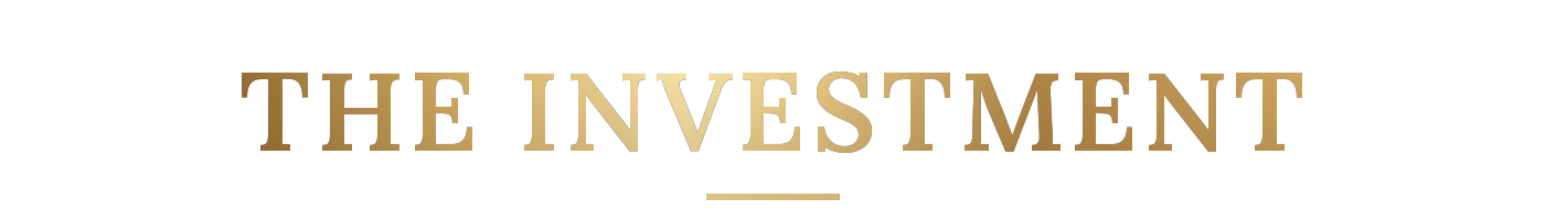 The investment
