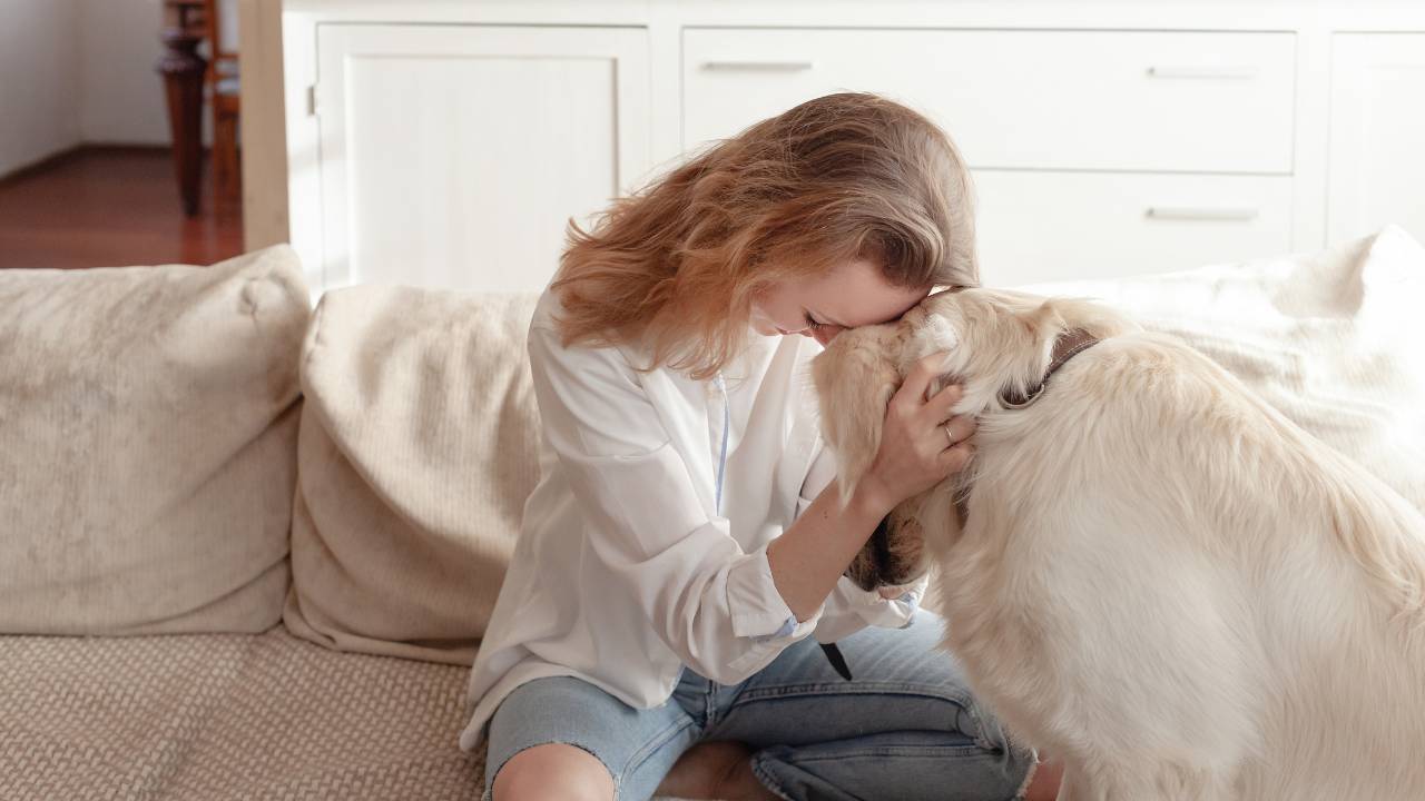 Why is Animal Communication important? My top 5 reasons.