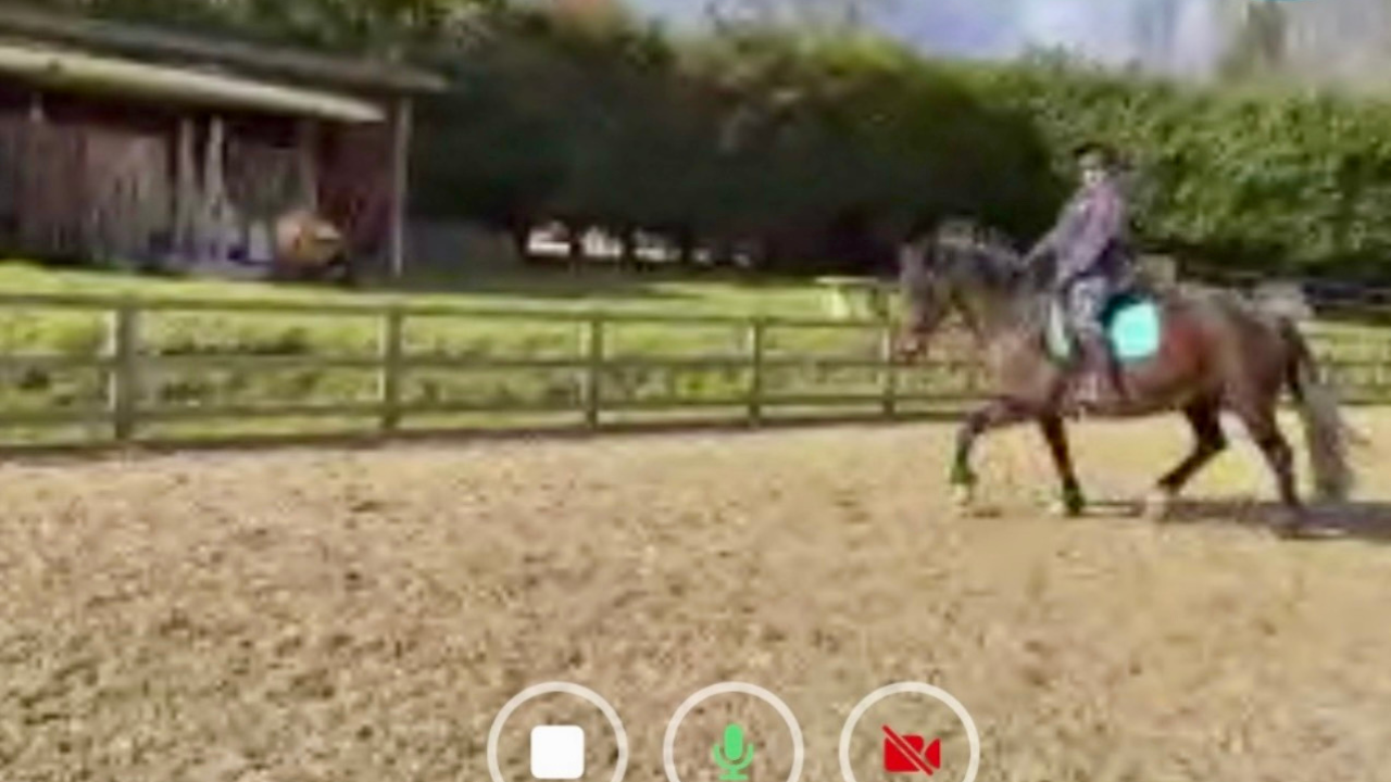 Rider in an arena during a live remote coaching session using the Ridesum app.