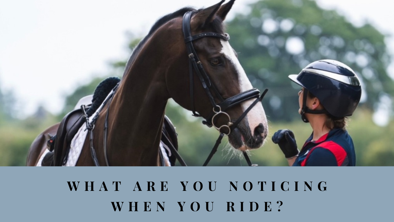 Rider looking towards her horse with the words “What Are You Noticing When You Ride?”