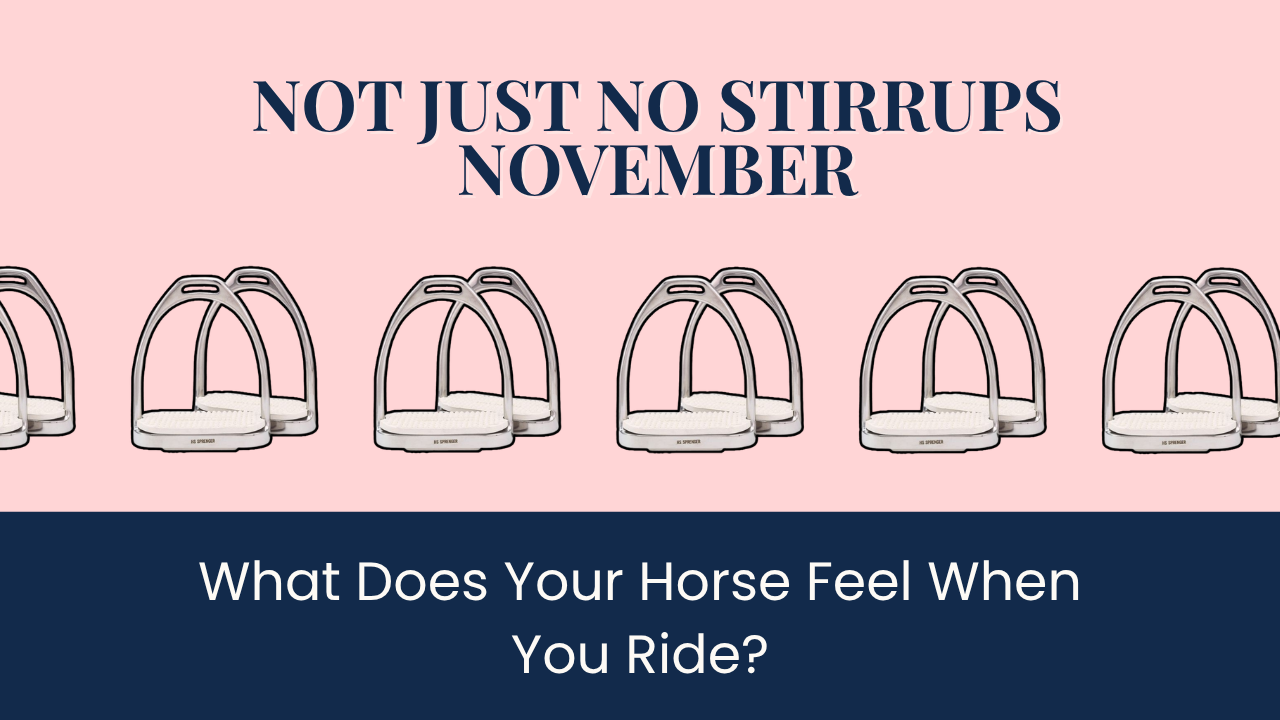 Pink and navy Not Just No Stirrups November blog graphic featuring a row of silver stirrups and the title “What Does Your Horse Feel When You Ride?”