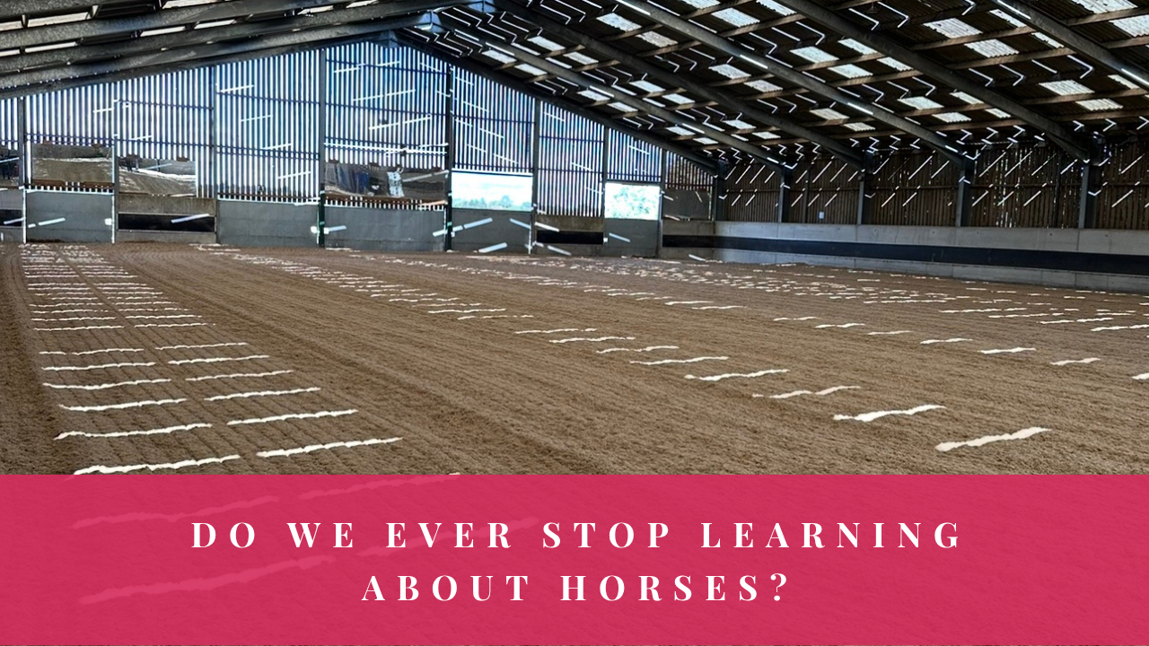 Empty indoor riding arena with the question ‘Do we ever stop learning about horses?’