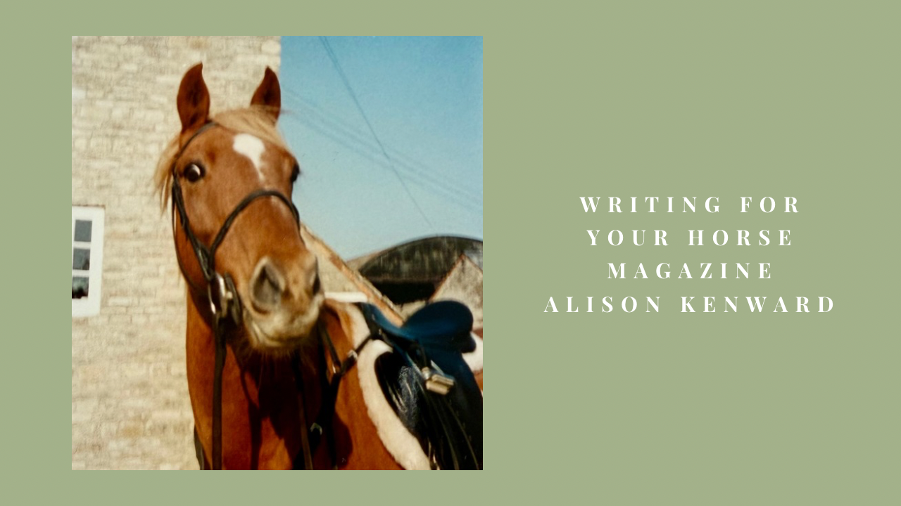 Horse Alison Kenward wrote about in her Your Horse Magazine article on draw reins.