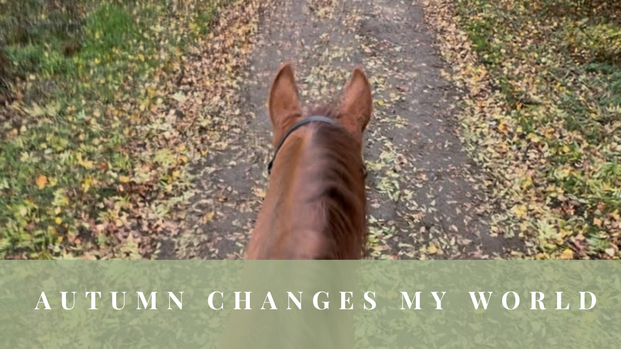 View between a horse’s ears along a leaf-covered autumn track, with the words “Autumn Changes My World.”