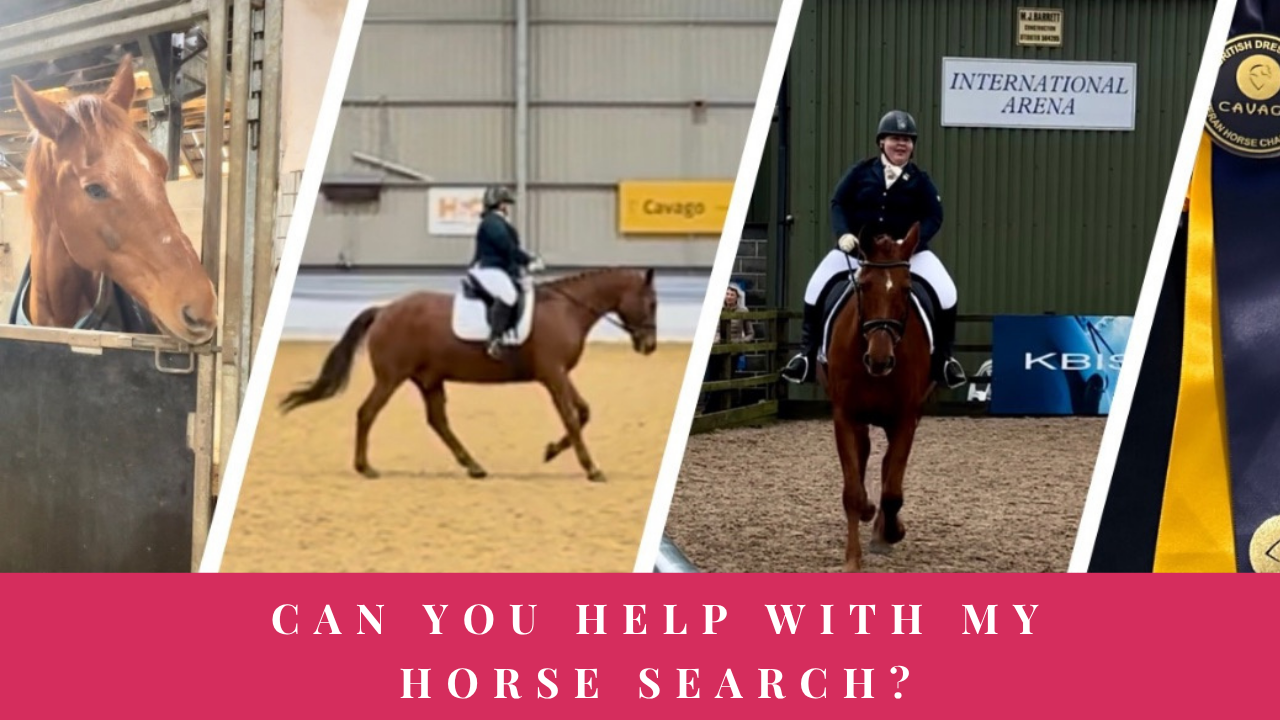 Collage showing a horse, Alison Kenward riding at home and at a dressage competition, and a British Dressage rosette, with the words ‘Can you help with my horse search?’