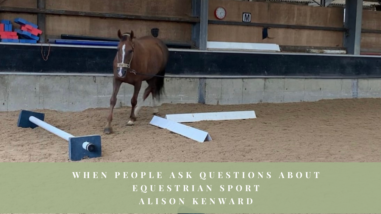 Horse being lunged in an indoor arena with poles and boards arranged on the ground.