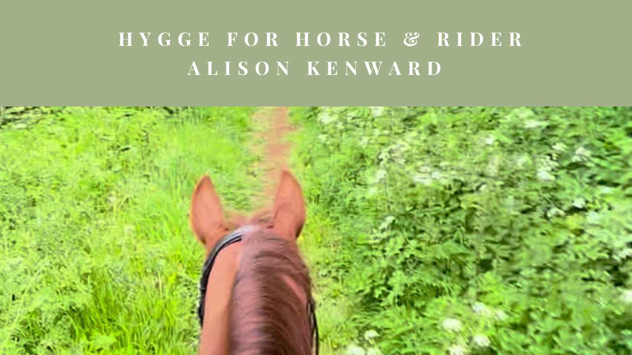 View between a horse’s ears while riding along a green country track
