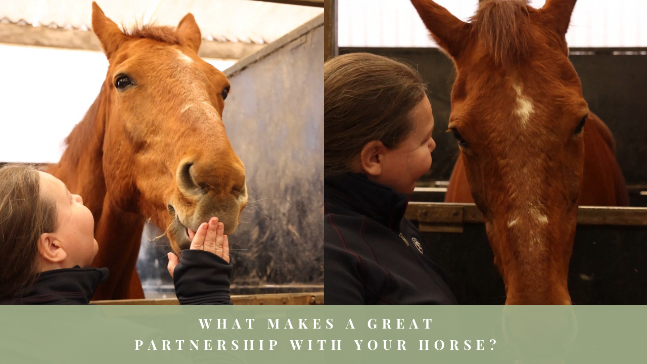 Alison Kenward sharing two close moments with a chestnut horse at the stable.