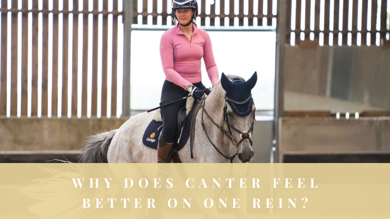 Rider cantering a horse in an arena with the question ‘Why does canter feel better on one rein?’