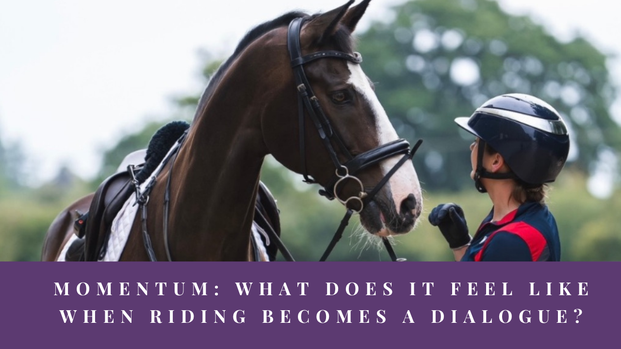 Dressage rider sharing a moment with her horse after riding