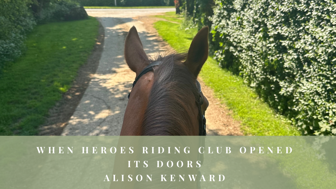 View between a horse’s ears while riding along a tree-lined track.