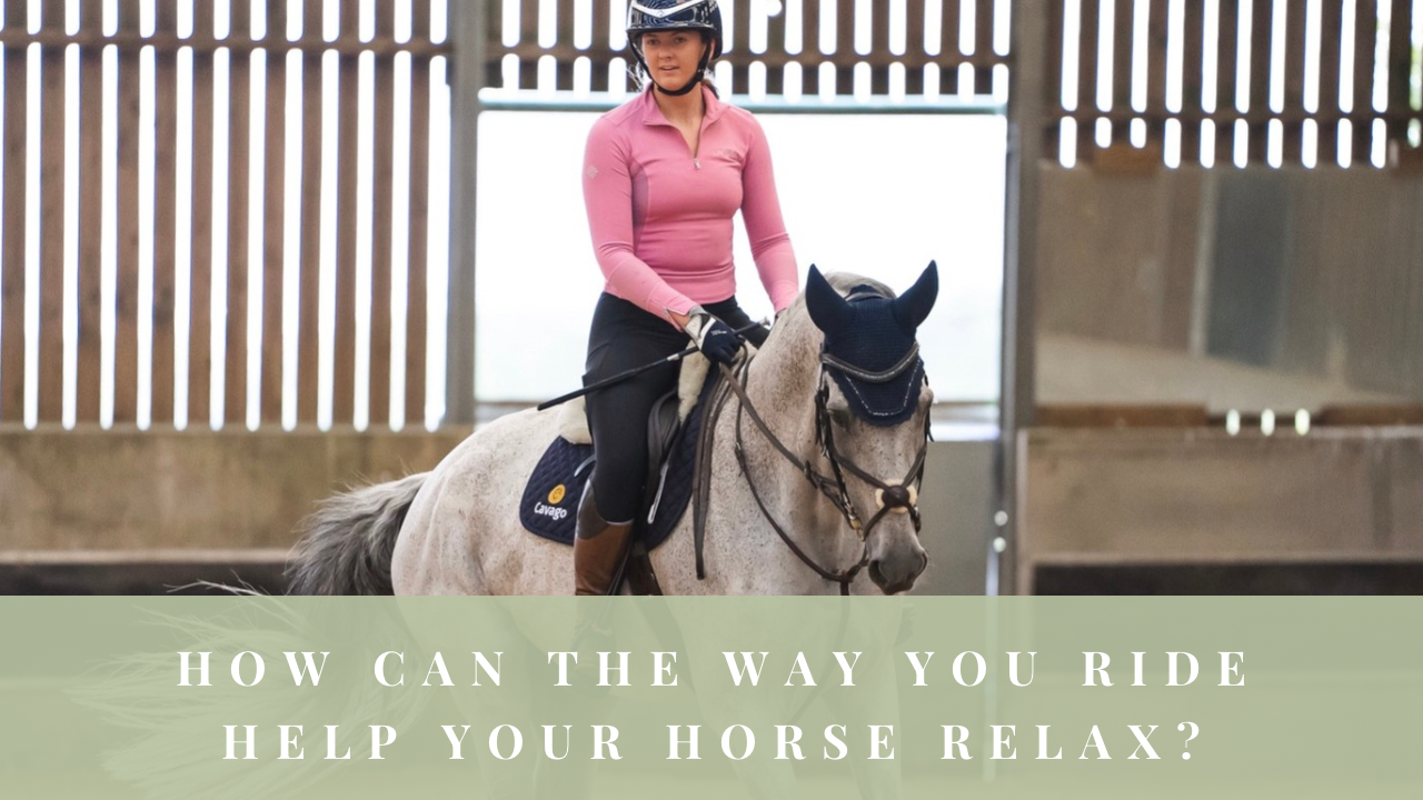 Rider schooling a grey horse in an indoor arena with the question ‘How can the way you ride help your horse relax?’